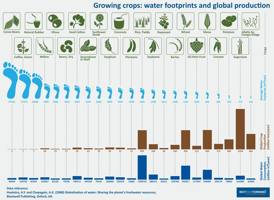 Water Footprint Of Crops Measures The Total Water Used In Crop Production. Understanding This Helps Promote Sustainable Agriculture And Water Conservation.